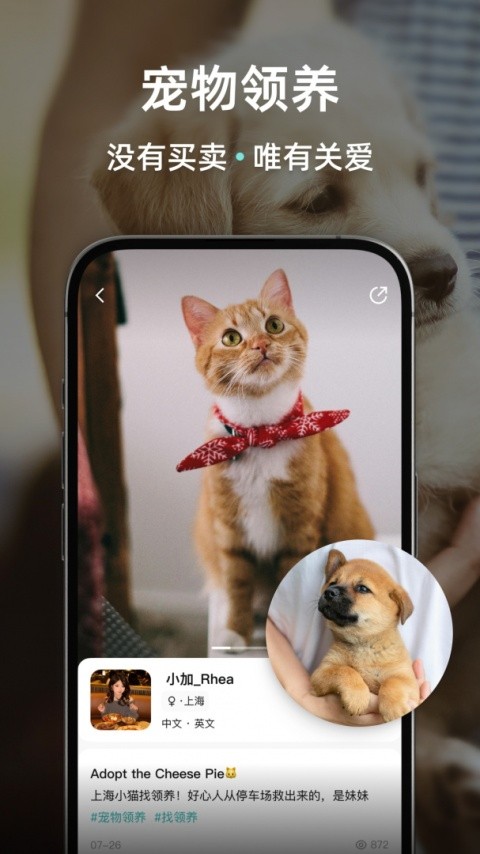 Wellcee租房优化版下载截图