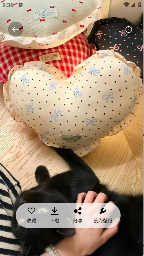 随心手机壁纸免费版下载截图