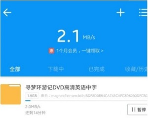Skrbt搜索引擎