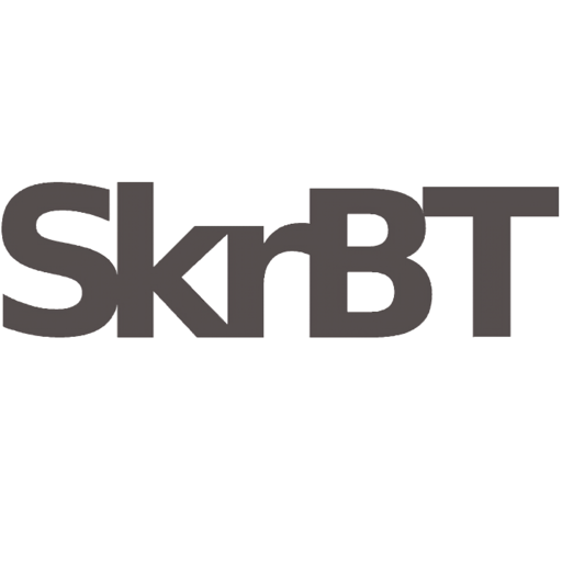 Skrbt搜索引擎手机版下载