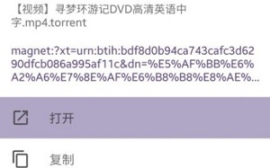 Skrbt搜索引擎