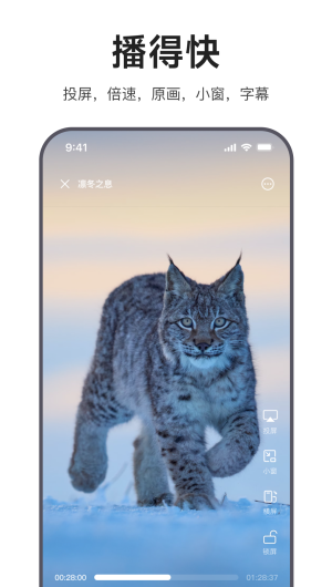 迅雷浏览器app手机版下载截图