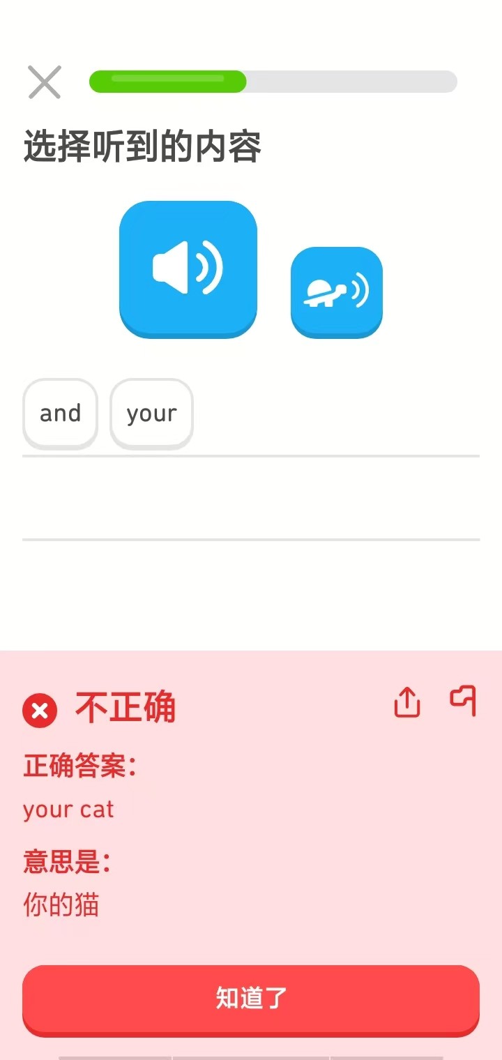 多邻国2026优化版使用截图