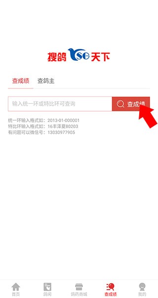 搜鸽天下软件