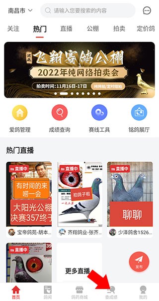 搜鸽天下软件