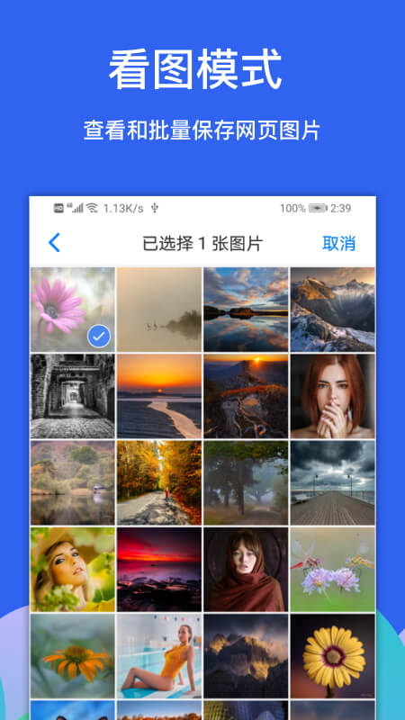 alook浏览器安卓版下载截图