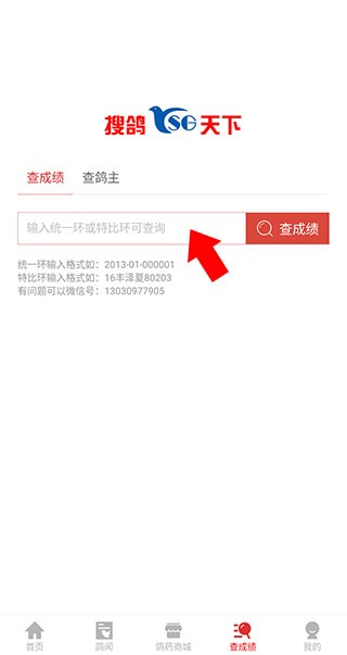 搜鸽天下软件