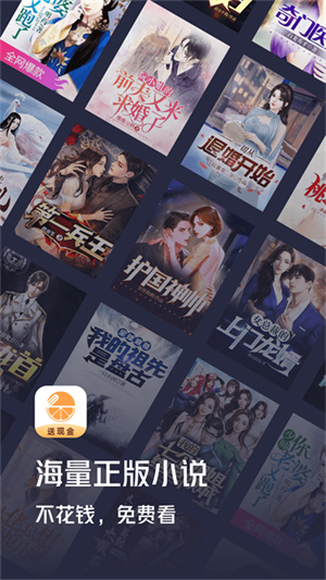 青橙小说旧版本下载截图