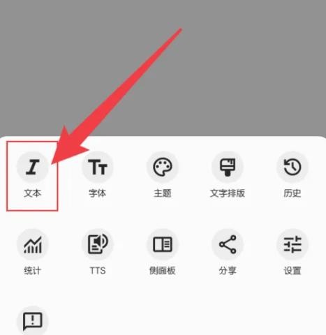 轻羽写作专业版-文本选项