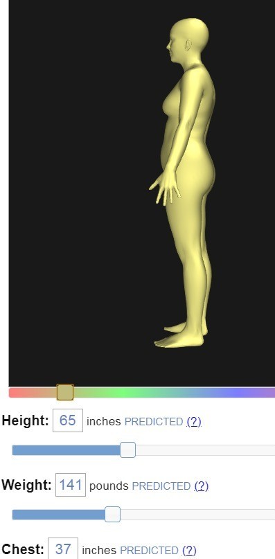 bodyvisualizer身材模拟器中文版下载截图