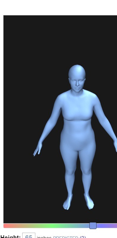 bodyvisualizer身材模拟器中文版下载截图