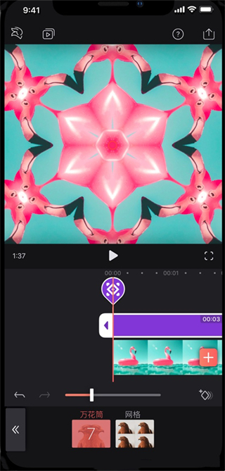 VideoLeap