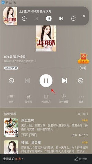 开始播放章节