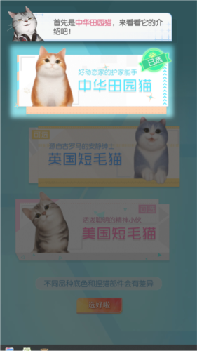 超喵星计划免费版截图