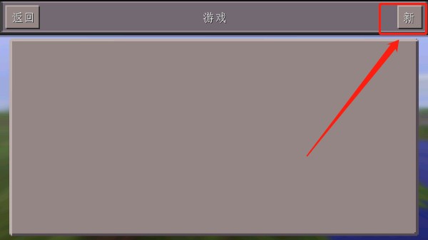 我的世界1.16