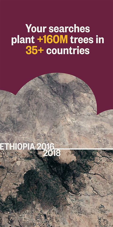 Ecosia搜索引擎软件手机版下载截图