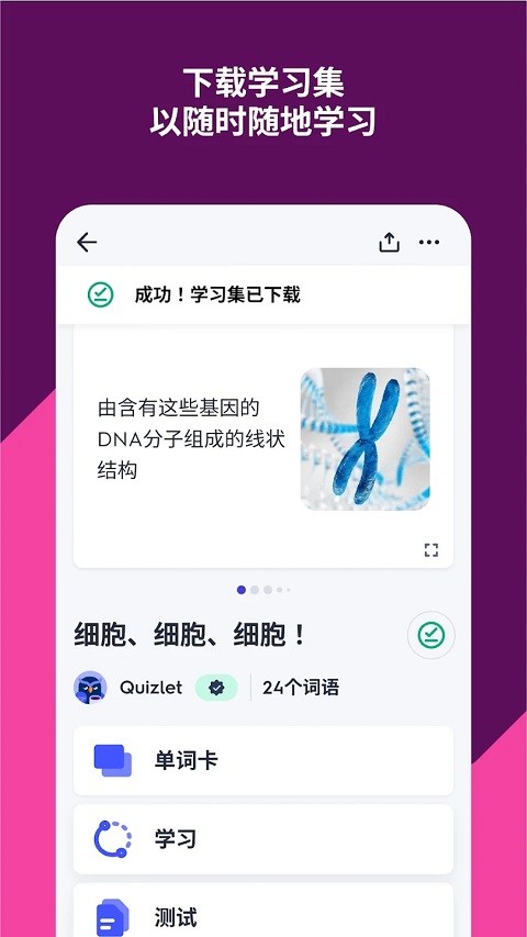 Quizlet官网版下载截图