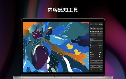 Vectornator安卓版下载截图