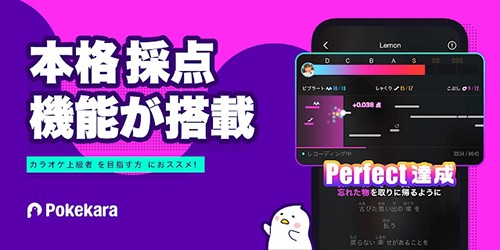 Pokekara安卓版下载截图