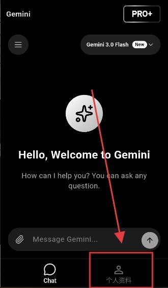 Gemini3.0