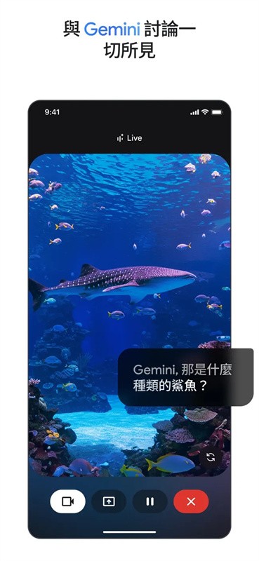 Gemini3.0新版本下载手机端截图