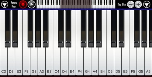 RealPiano安卓版下载截图