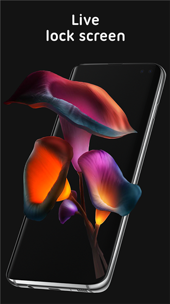 Pixel 4D安卓版下载截图