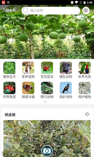 识万物扫一扫软件