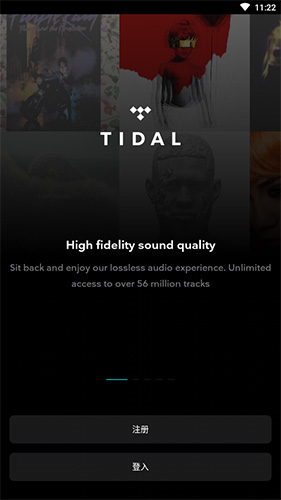 tidal音乐汉化版下载截图