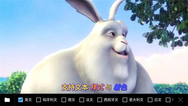 Player手机播放器软件下载截图