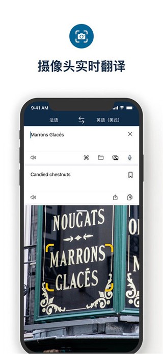Deepl翻译器app优化版下载截图