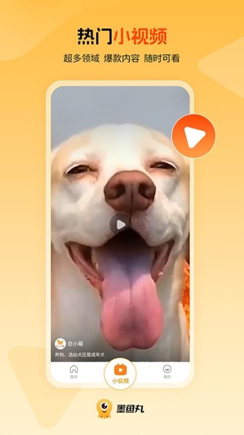 墨鱼丸app下载安卓版截图