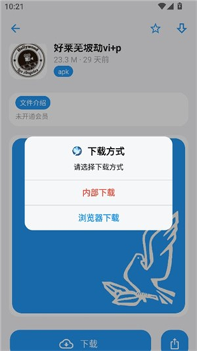 熊盒子白鸽最新版