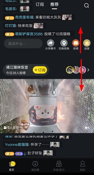 猫咪社区