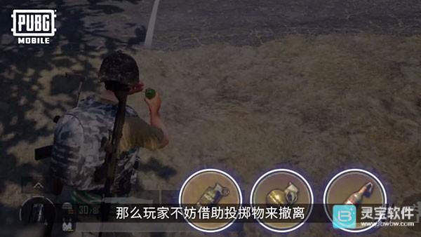 帕布鸡游戏上分指南4