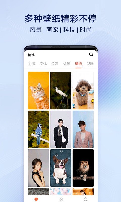 VIVO主题商店下载安卓版本截图