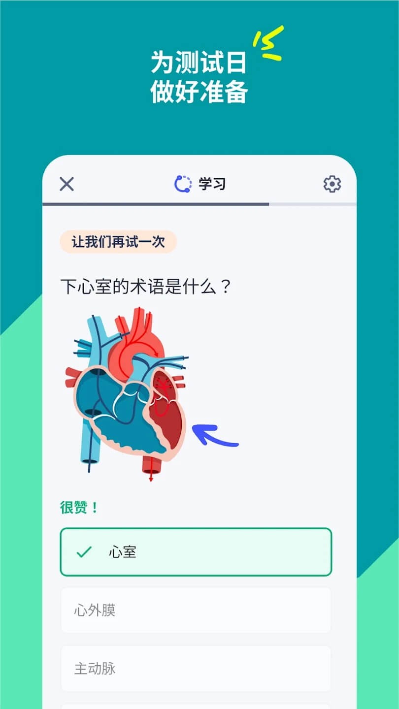 Quizlet安卓版下载v9.30截图