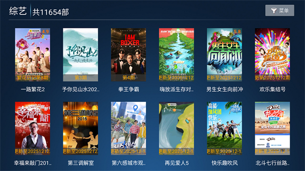 飞鹰TV