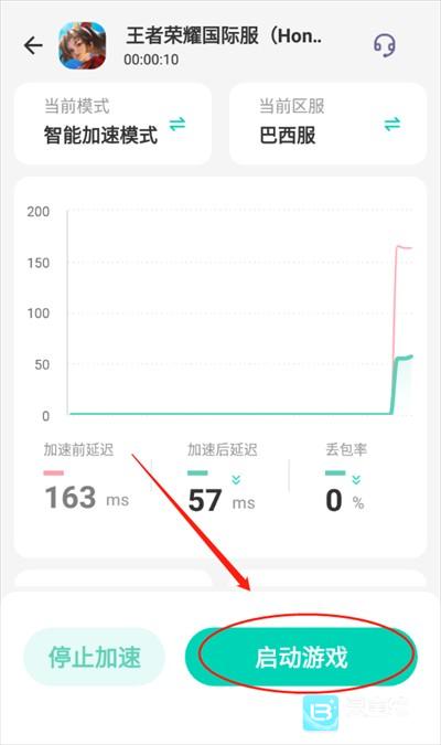 王者荣耀巴西服