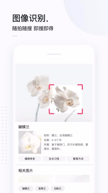 简单搜索旧版软件下载截图