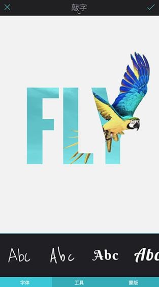 Enlight Photoloop软件安卓版下载截图