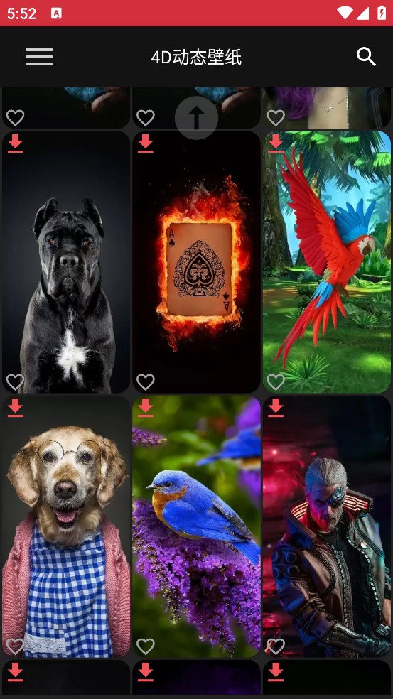 4D动态壁纸软件app下载手机版截图