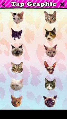 Catwang安卓版下载截图