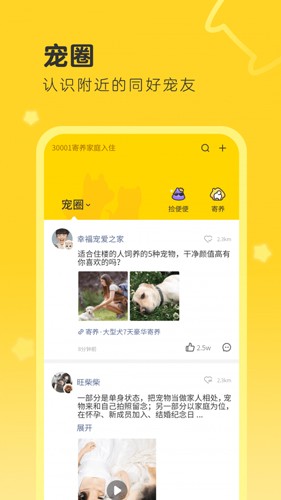 句苗岛最新版下载截图
