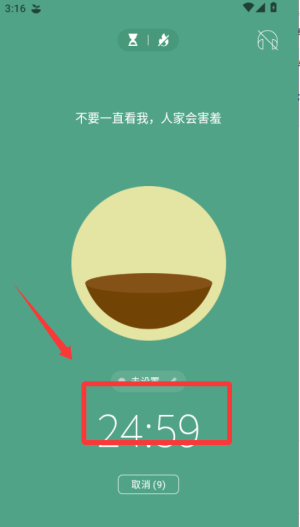 Forest专注森林