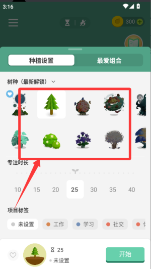 Forest专注森林