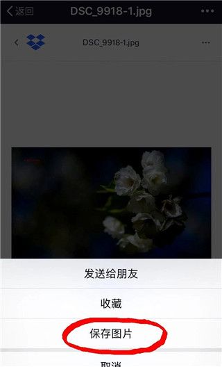 Dropbox云盘
