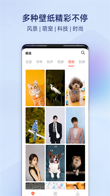 91熊猫桌面主题软件下载截图