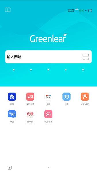 绿叶浏览器app手机版下载截图